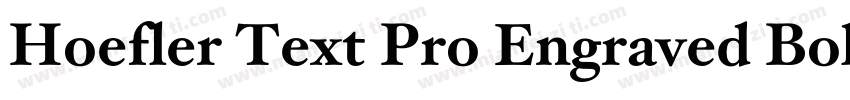 Hoefler Text Pro Engraved Bold字体转换